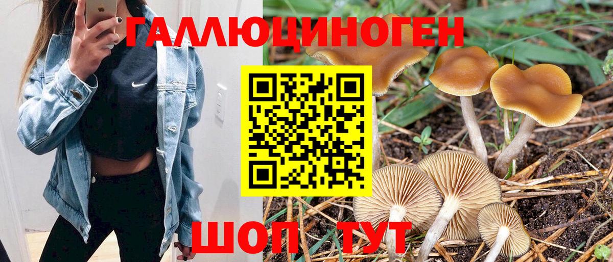Галлюциногенные грибы Psilocybe  Вход с VPN  Галлюциногенные грибы GOLDEN TEACHER  Унеча 