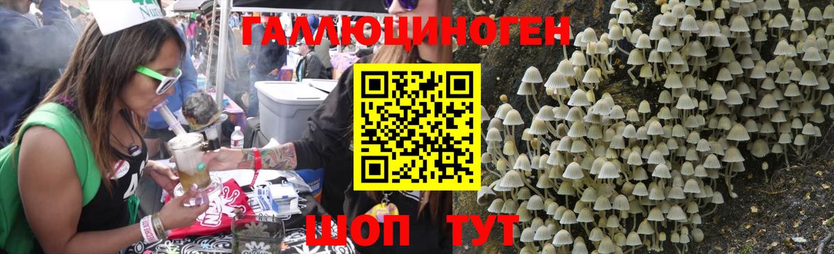 Галлюциногенные грибы прущие грибы Унеча
